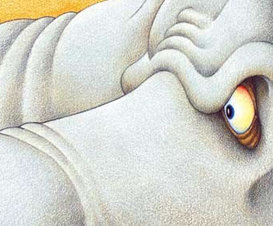 How the Rhinoceros Got His Skin