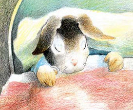 The Tale of Peter Rabbit